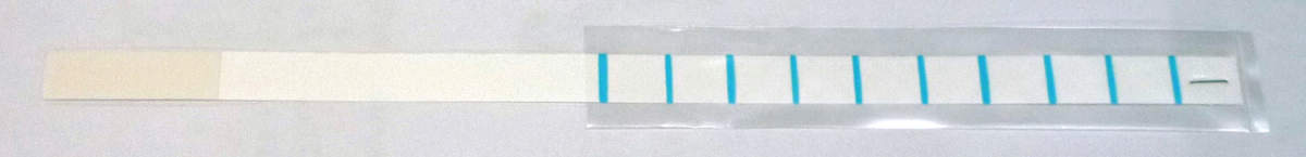 DSH-UP_check sheet.jpg